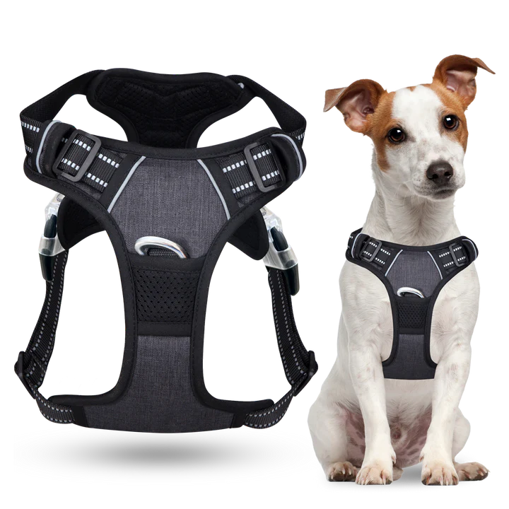Zolmi™ - Dog Harness