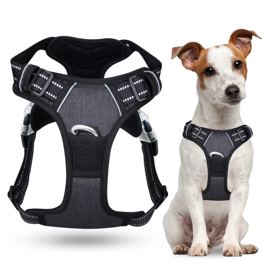 Zolmi™ - Dog Harness