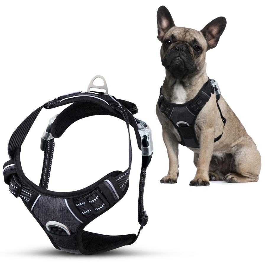 Zolmi™ - Dog Harness