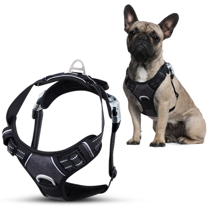 Zolmi™ - Dog Harness