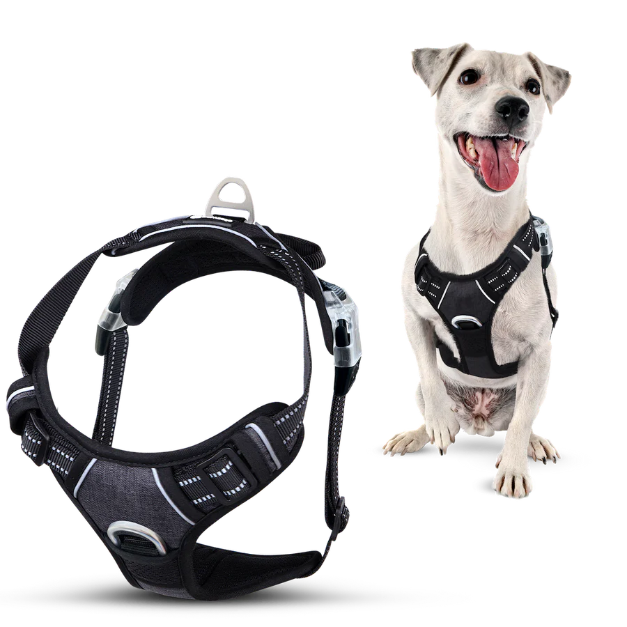 Zolmi™ - Dog Harness