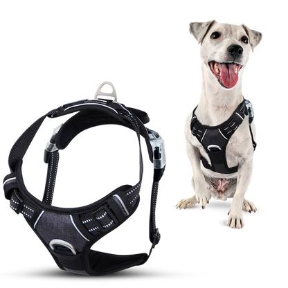 Zolmi™ - Dog Harness