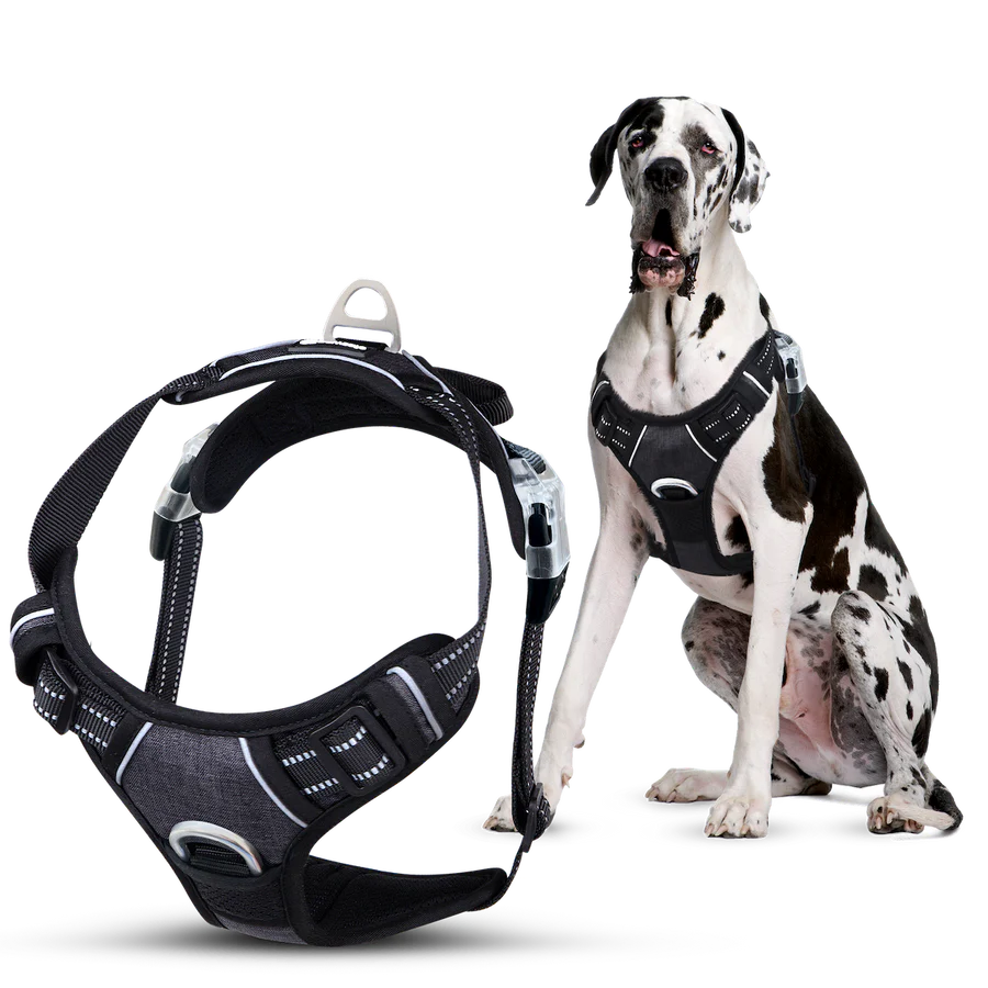 Zolmi™ - Dog Harness