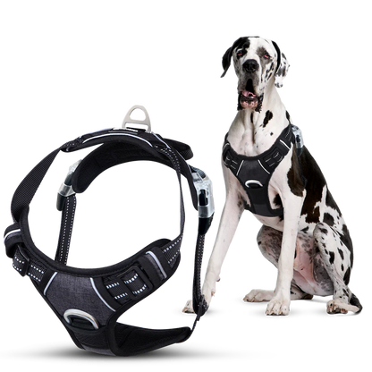 Zolmi™ - Dog Harness