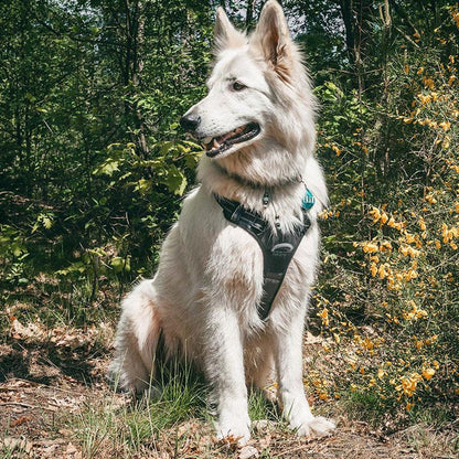 Zolmi™ - Dog Harness